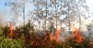 Ilustrasi. (dok.Okezone)