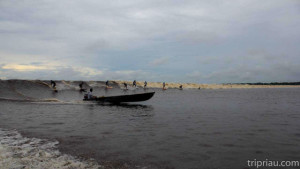 bakudo bono tripriau-1