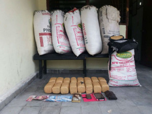 Foto : Barang Bukti Ganja (**)