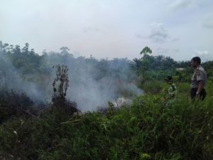 DOK SIAGANEWS.CO