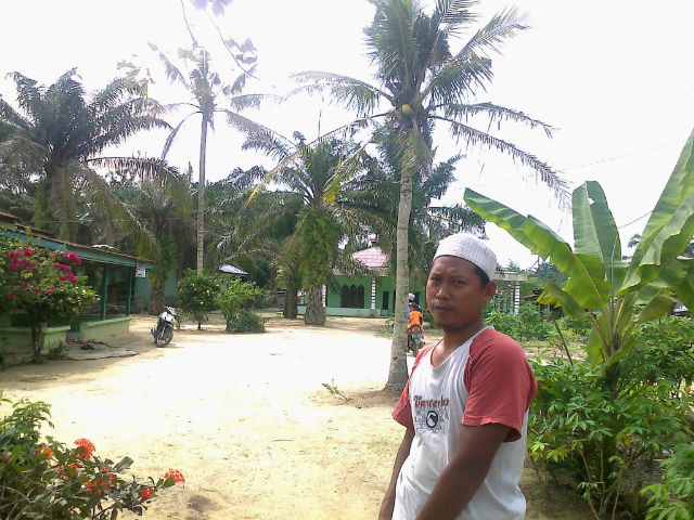 Kumbang Kelapa Wangwung Serang Sawit Masyarakat Kandis