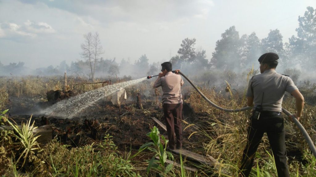 Pastikan Api Tidak Melebar, Kapolresta Pekanbaru Hingga Sore Ini Masih Bertahan Di Lokasi Kabakaran Lahan