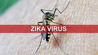 Tingkatkan Pengawasan, Diskes Antisipasi Virus Zika