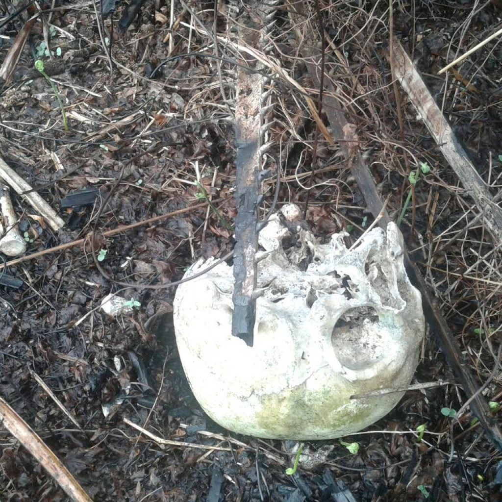 penemuan tengkorak manusia di rumbai, Polisi lakukan penyelidikan