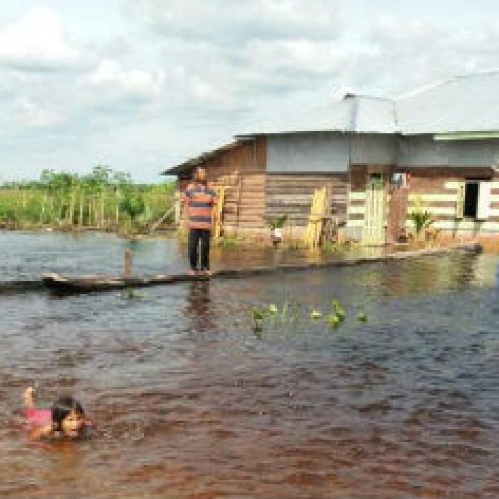 Curah Hujan Tinggi, Banjir Melanda Kecamatan Pinggir