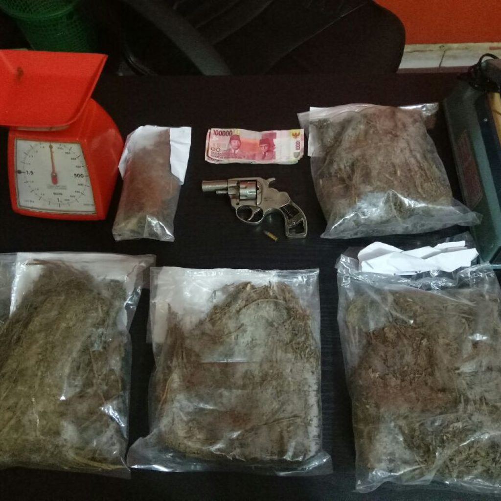 Ringkus Residivis, Polisi Temukan Senjata Api Dan Ganja Kering