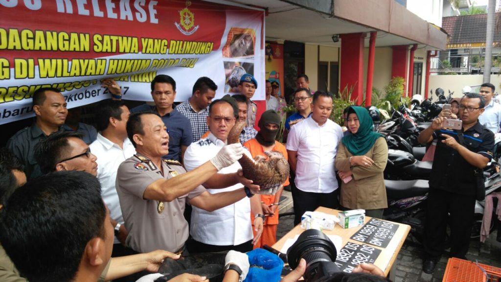 Polda Riau Ungkap Penyeludupan 70 Ekor Hewan Trenggiling