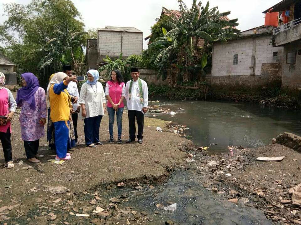 bidadari indonesia