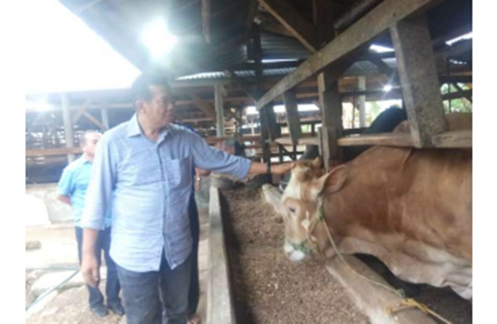 Firdaus Inginkan Pekanbaru Memiliki Kampung Mandiri