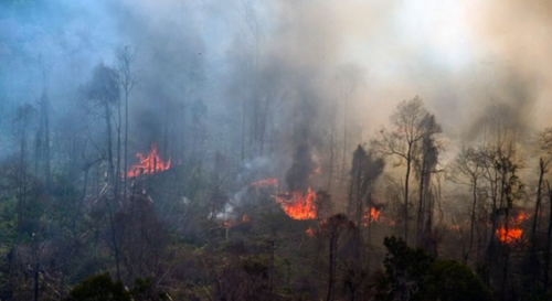 BMKG Deteksi 27 Hotspot di Riau
