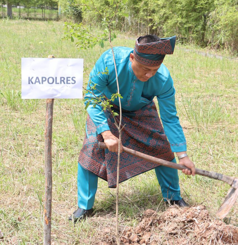 Kapolres Rohil dan Bupati Tanam Pohon Bersama FKPD: Wujudkan Program Kapolda Riau Green Policing Momen HUT Rohil ke-26