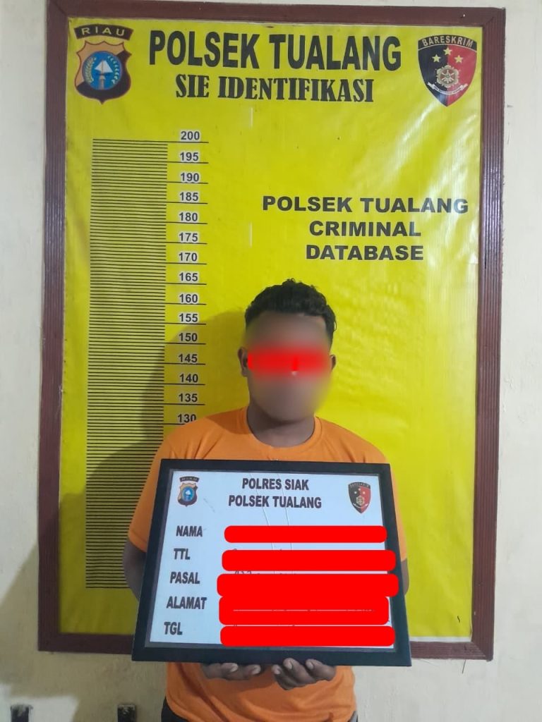 Bawa 12 Tandan Sawit Curian, Dua Pria Diringkus Polsek Tualang