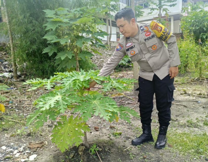 Bhabinkamtibmas Kelurahan Kota Tinggi Ajak Warga Manfaatkan Lahan Pekarangan Jadi Lahan Produktif
