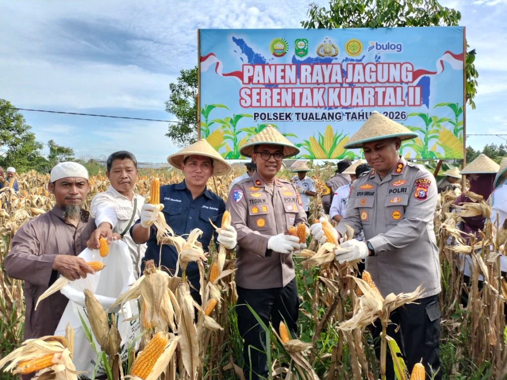 Panen Raya Jagung Kuartal II Tahun 2026, Polres Siak Dukung Swasembada Pangan di Kecamatan Tualang