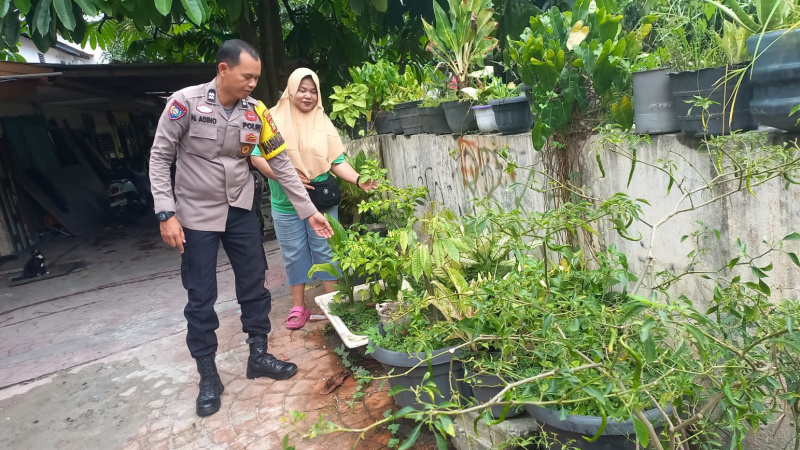 Bhabinkamtibmas Sukaramai Tinjau Pekarangan Warga, Dukung Program Ketahanan Pangan