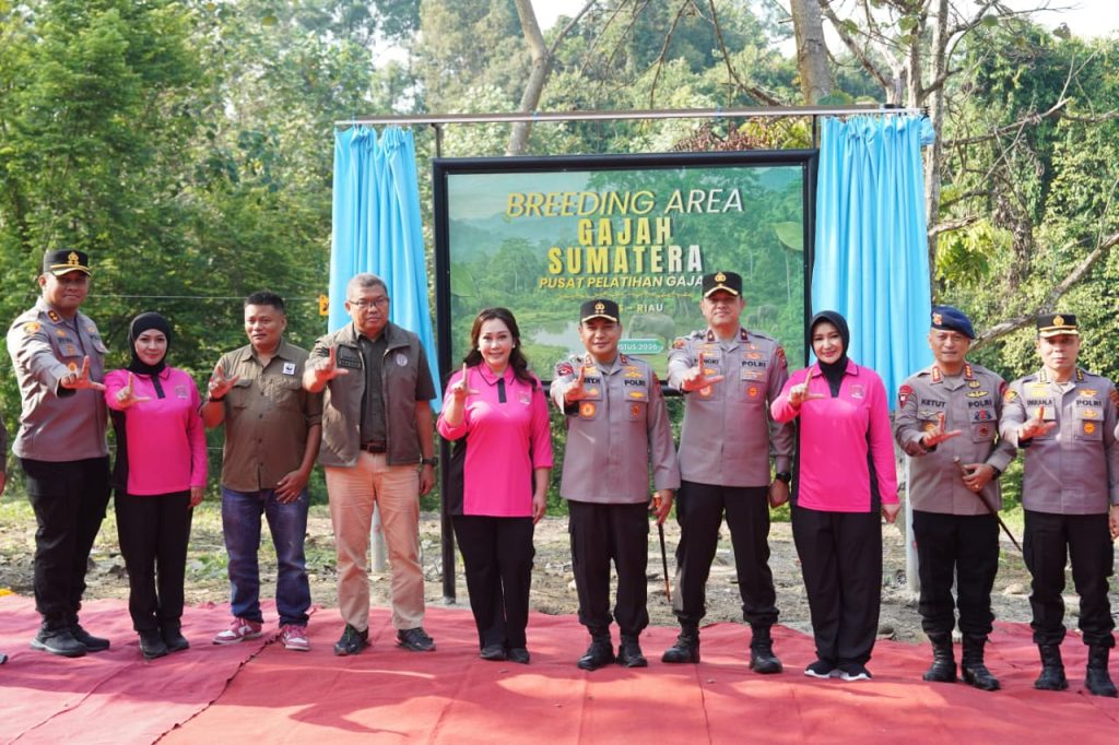 Kapolda Riau Resmikan Breeding Area Gajah Sumatera di PLG Minas, Perkuat Komitmen Jaga Kelestarian Satwa dan Hutan