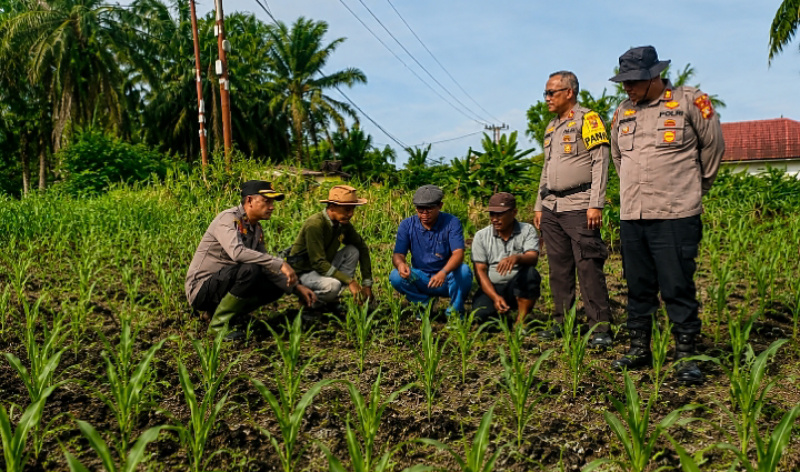 Dari Lahan Binaan, Bhabinkamtibmas Polsek Kandis Tumbuhkan Semangat Petani