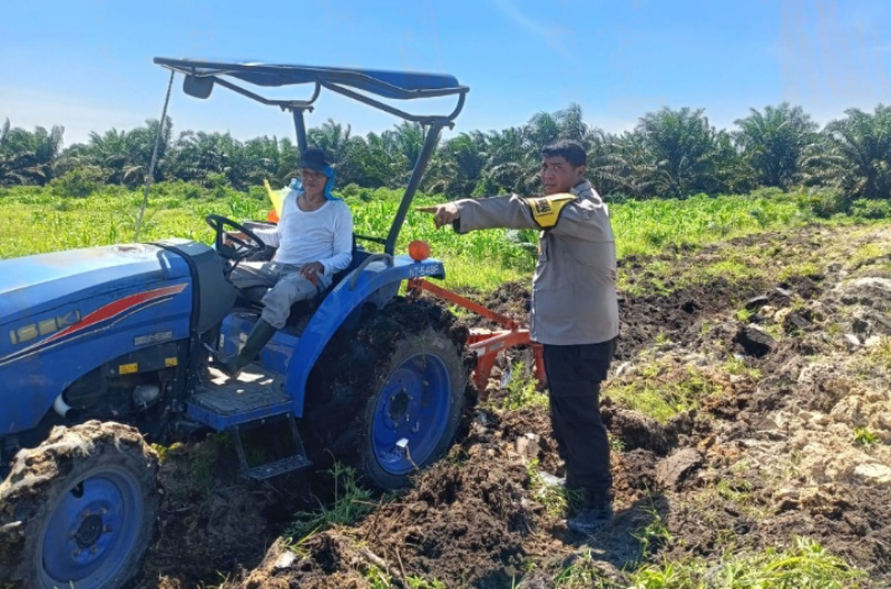Polsek Kandis Kolaborasi Merawat Tanaman, Kembangkan Pertanian Produktif untuk Ketahanan Pangan