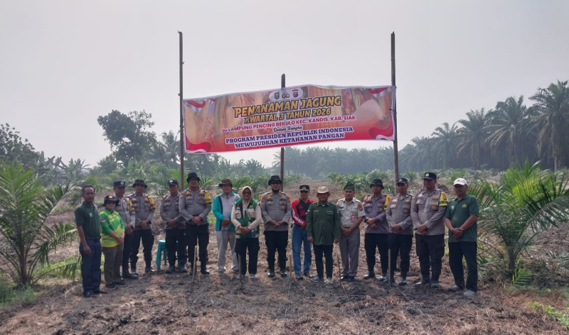 Kembangkan Ketahanan Pangan, Polsek Kandis Tanam Jagung Kuartal lll di Kampung Jambai Makmur