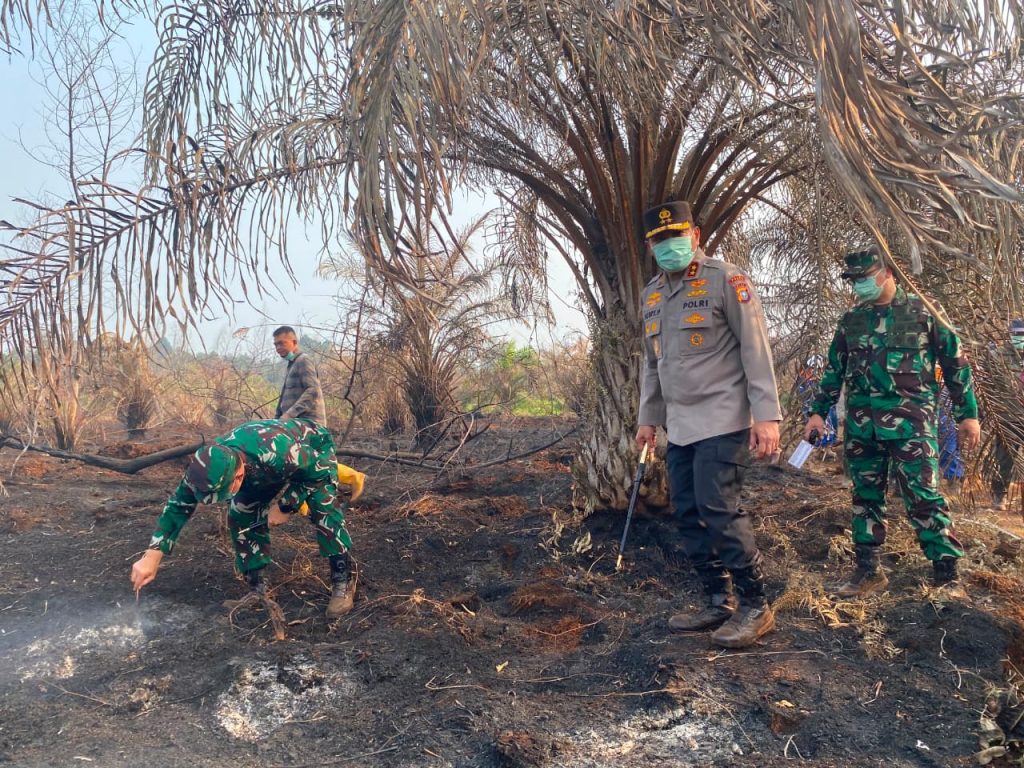 Kapolda-Pangdam Turun ke Siak, 20 Hotspot Jadi Alarm: Seberapa Efektif Pencegahan Pemkab?
