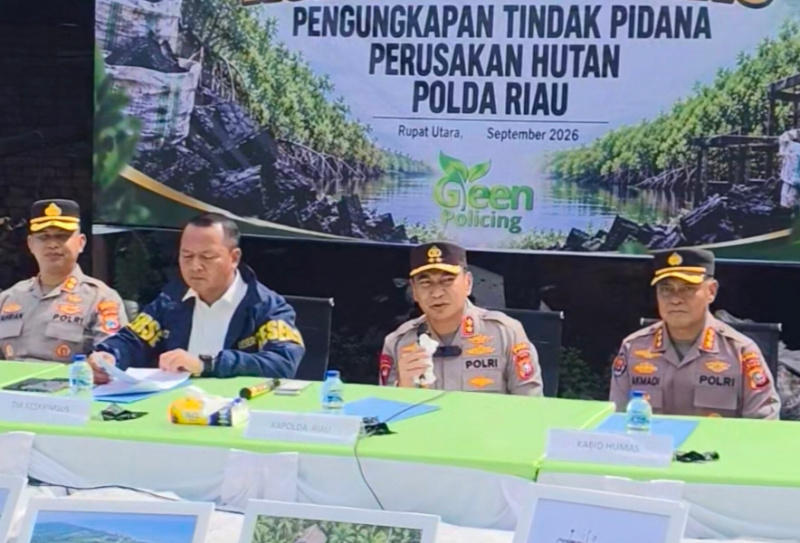 Dari Pohon Mangrove Jadi Arang, Polda Riau Usut Pidana Perusakan Hutan di Rupat Utara